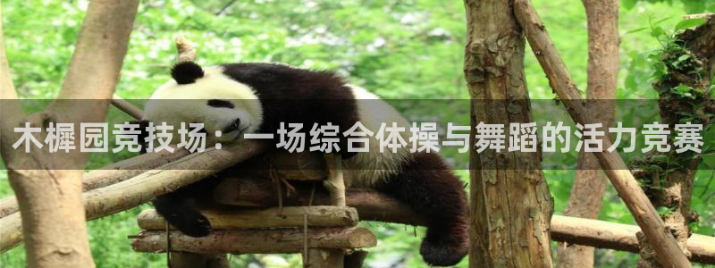 意昂2f凯捷注册