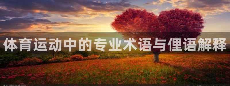 意昂2招商