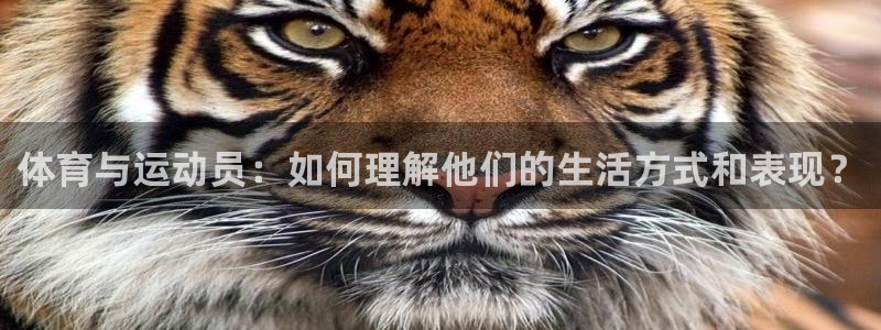 意昂2凯捷平台注册链接