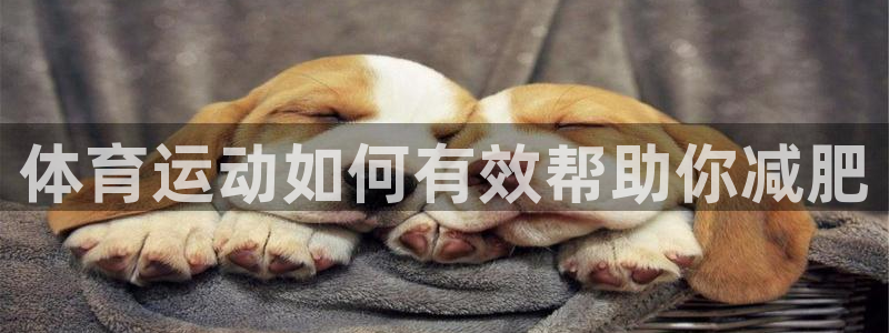 意昂2体育官网