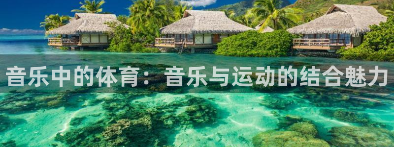 意昂2体育和杏耀是哪个公司的