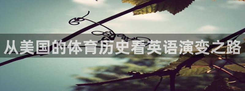 意昂体育注册代理