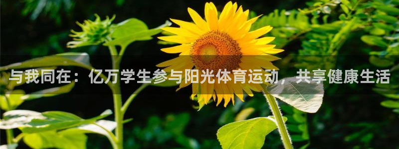 福建意昂机电股份公司