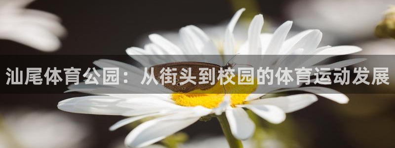 意昂2体育