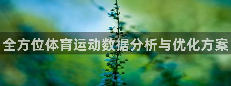 上海意昂2汽车电子有限公司