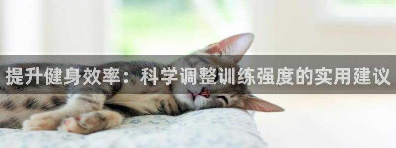 意昂2平台