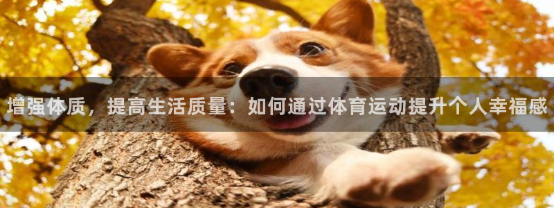 意昂