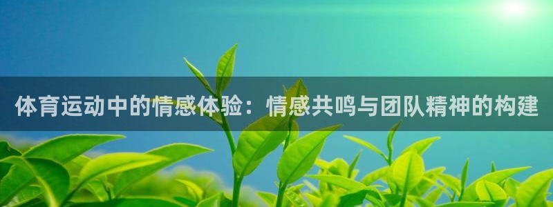 意昂2体育3在线注册